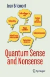Quantum Sense and Nonsense Miniatura