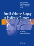 Small Volume Biopsy in Pediatric Tumors Miniatura