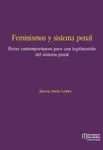 Feminismos y sistema penal Miniatura