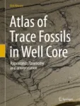 Atlas of Trace Fossils in Well Core Miniatura