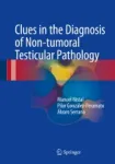 Clues in the Diagnosis of Non-tumoral Testicular Pathology Miniatura