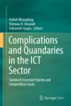 Complications and Quandaries in the ICT Sector Miniatura